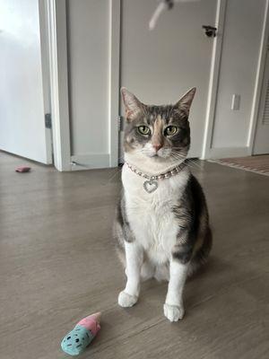 photo of Victoria T.