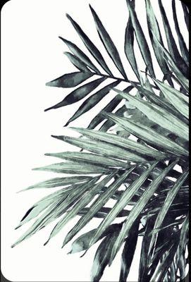 photo of Victoria C.