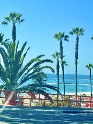 photo of Michelle S.