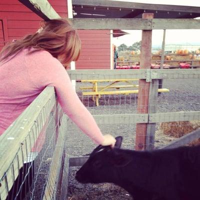 photo of Katherine K.