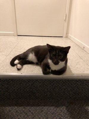 Photo of Stephanie F.