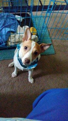 photo of Priscilla S.