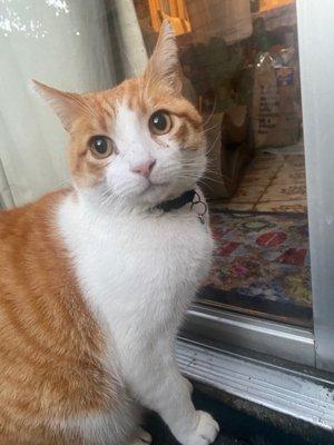 Photo of Maru M.