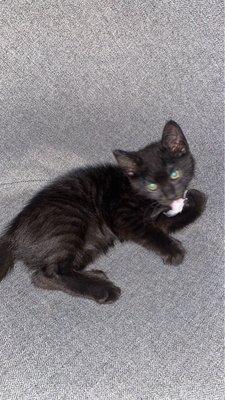 photo of Elizabeth A.