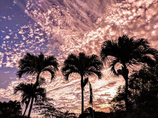 photo of Martin N. Michiko S.