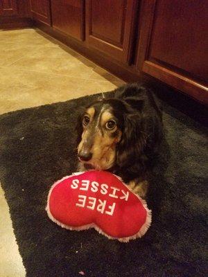 photo of Christina H.