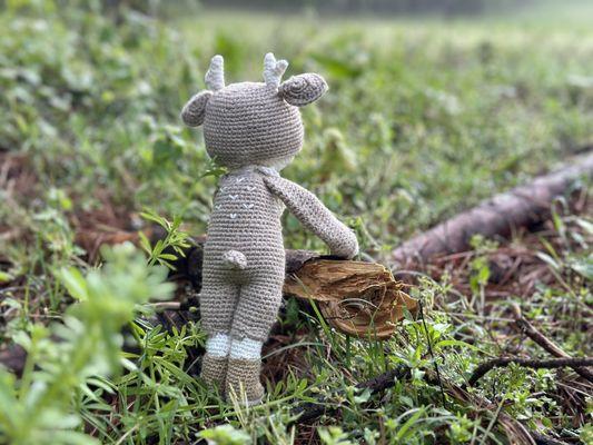 photo of Kimberly D.