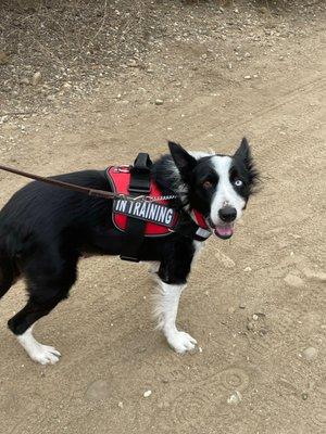 photo of Catherine C.