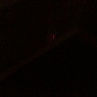 photo of Penelope F.