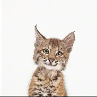 photo of Jennifer P.