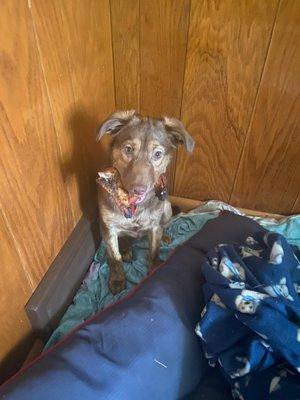 photo of Sebastian G.