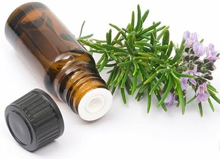 photo of Rebekkah F.