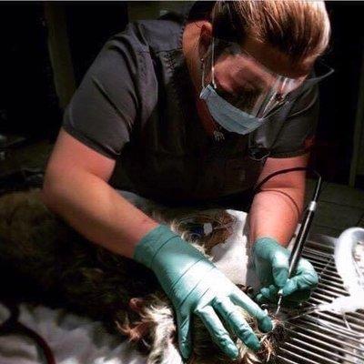 photo of Dr. Summer W.