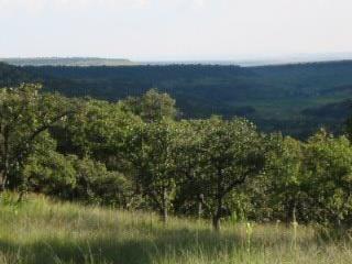 photo of Santiago G.