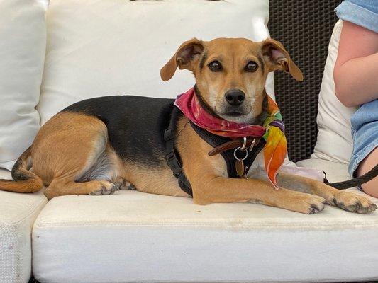 photo of Katherine H.