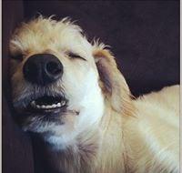 photo of Kathlena G.