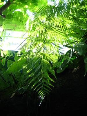 photo of Michelle N.