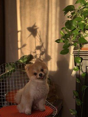 photo of Nadia Nayzeth L.