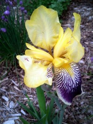 photo of Elizabeth M.