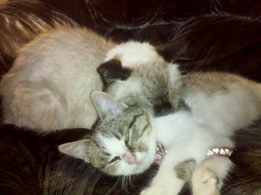 photo of Michelle B.