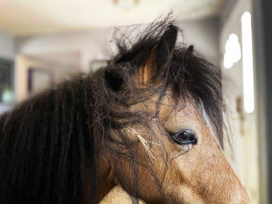 photo of Christina B.