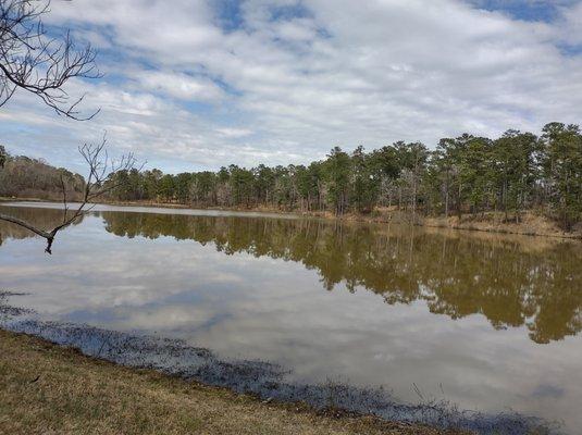 photo of Pasquale A.