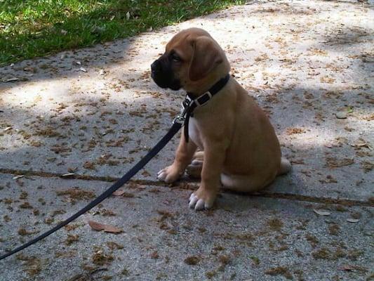 photo of Christine C.