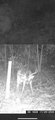 Photo of Tyler H.