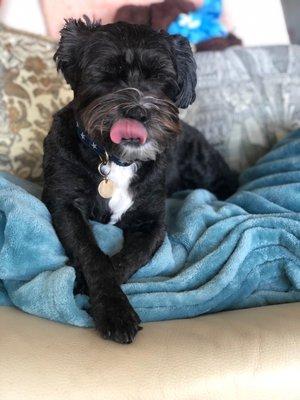 photo of Lucienne R.