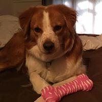 Photo of Stosh A.