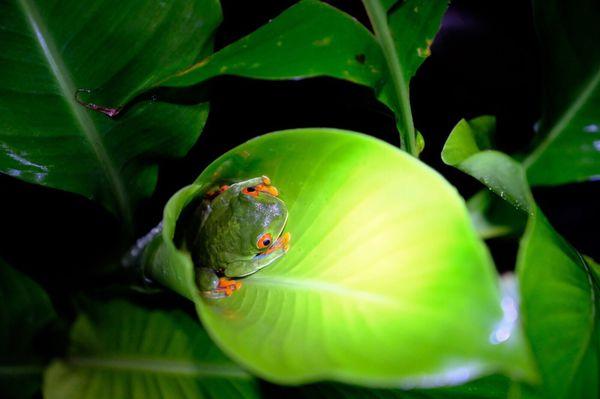 photo of Katherine H.