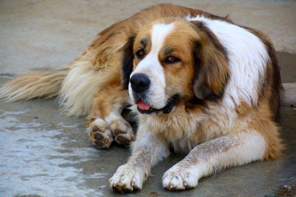 photo of Elizabeth U.