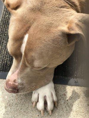 photo of Michelle M.