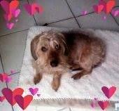 Photo of Candyce M.