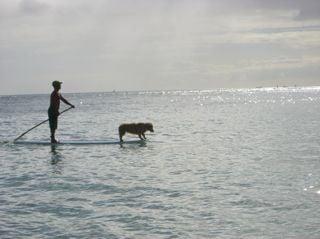 Photo of Alex M.