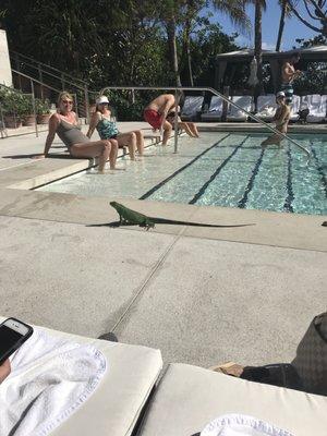 photo of Samantha B.