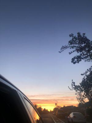 photo of Graciela Z.