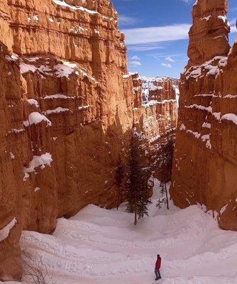 photo of Mohammed N.