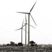 photo of Christine S.