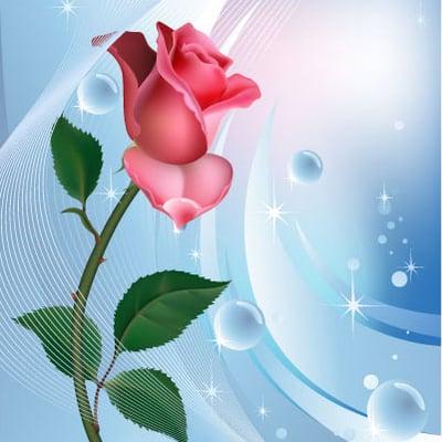 Photo of Radiant S.