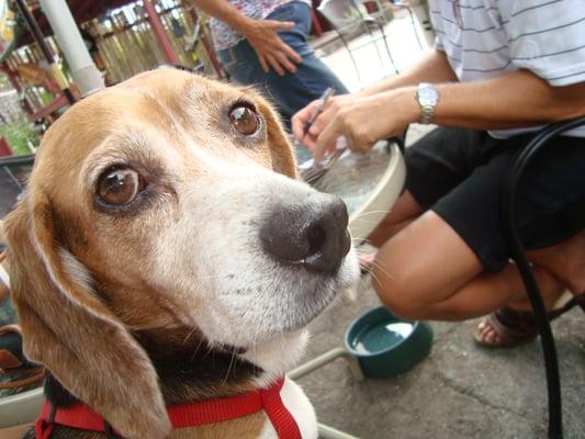Photo of Fulano D.
