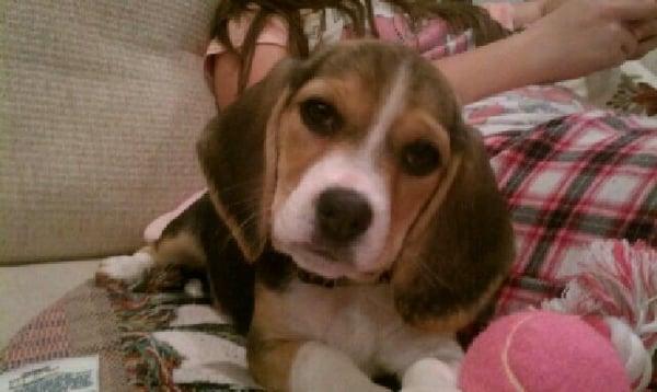 photo of Fernando S.