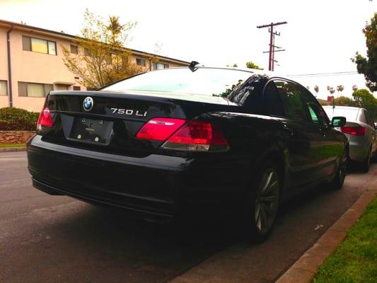 photo of BlueStar L.