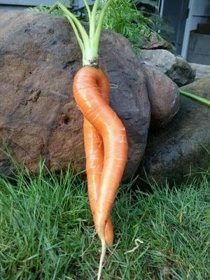 photo of Michelle M.