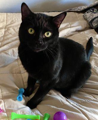 photo of Adrienne A.