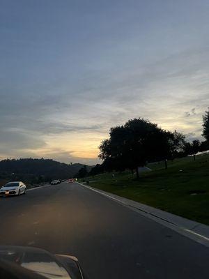 photo of Savannna F.