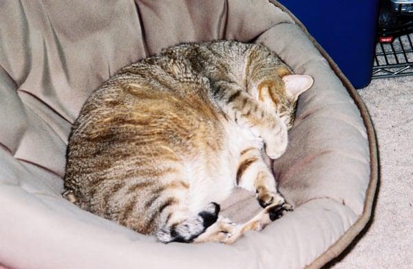 photo of TeamMarius D.