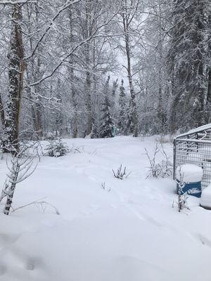 Photo of Gabrielle L.