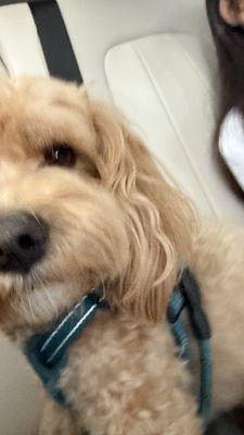 photo of Leonardo B.