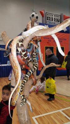 photo of Danielle E.